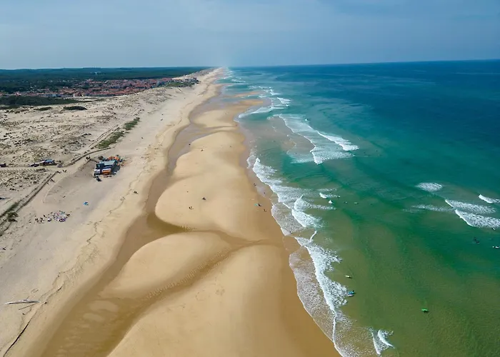 Calme Entre Ocean Et - 8 Pers - 4 Ch - Terrasse - Bbq - Jardin - - Fr-1-319-418 *