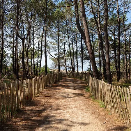 Plage, 5 Pièces, 8 Personnes - Fr-1-319-418 Villa Biscarrosse
