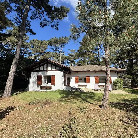 Villa Calme Entre Ocean Et - 8 Pers - 4 Ch - Terrasse - Bbq - Jardin - - Fr-1-319-418 *
